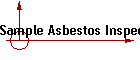 Sample Asbestos Inspection